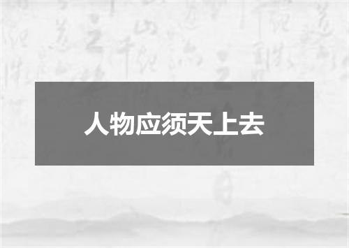 人物应须天上去