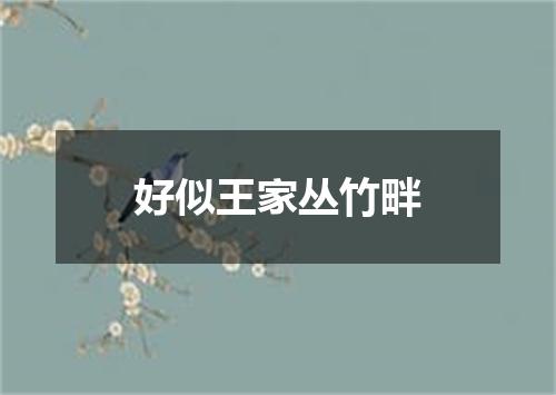 好似王家丛竹畔