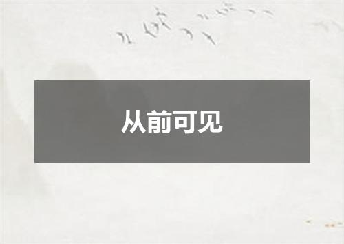 从前可见