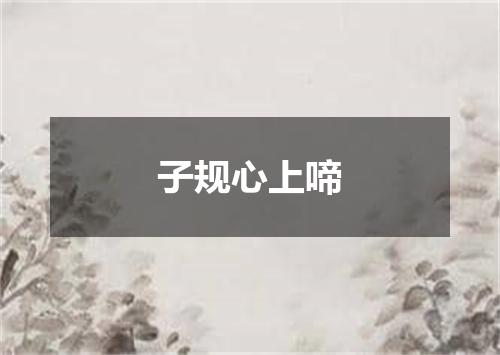 子规心上啼
