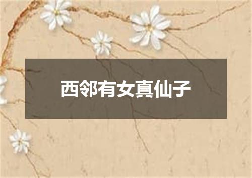 西邻有女真仙子