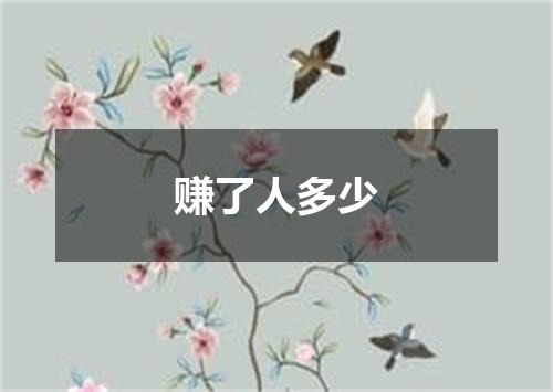 赚了人多少