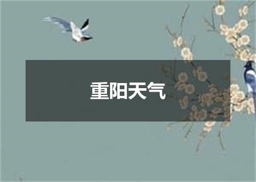 重阳天气