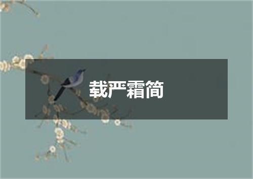 载严霜简
