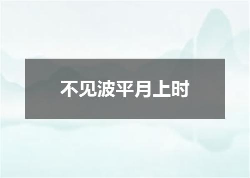不见波平月上时