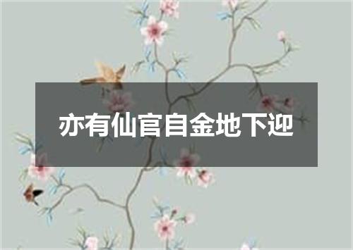 亦有仙官自金地下迎
