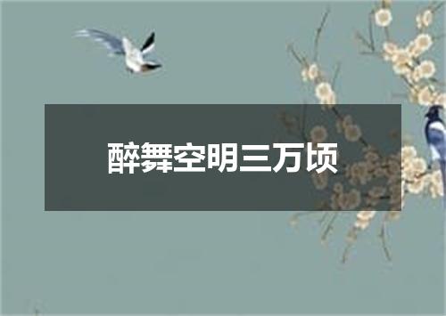 醉舞空明三万顷