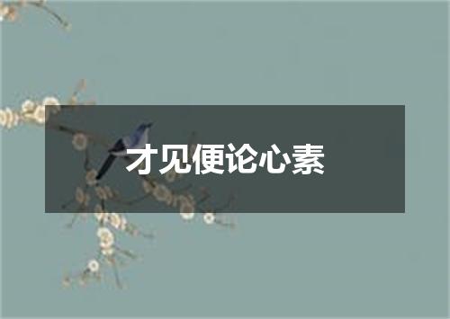 才见便论心素