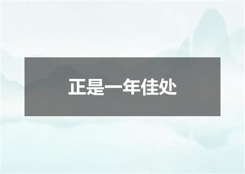 正是一年佳处