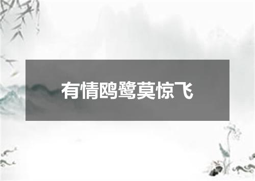 有情鸥鹭莫惊飞