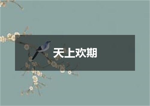 天上欢期