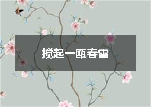 搅起一瓯春雪
