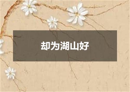 却为湖山好