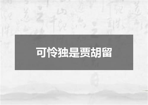 可怜独是贾胡留