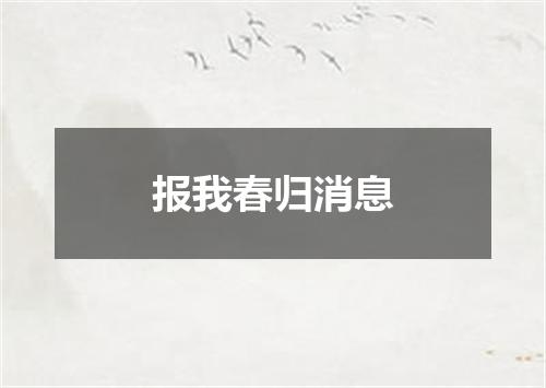 报我春归消息