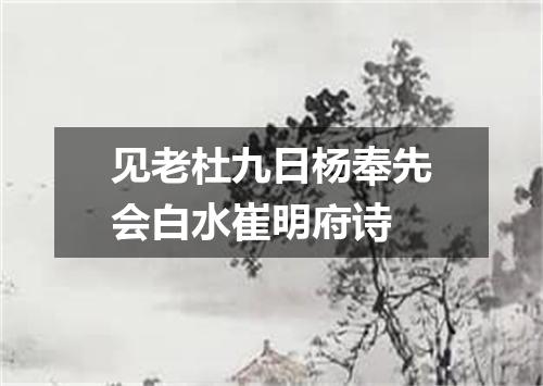 见老杜九日杨奉先会白水崔明府诗