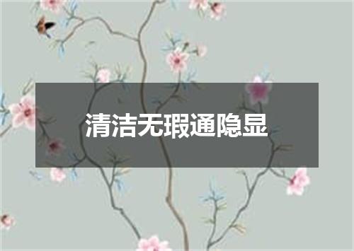 清洁无瑕通隐显