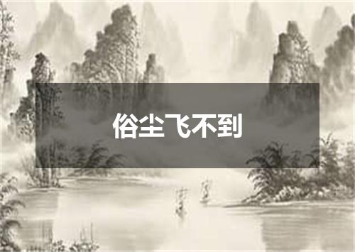 俗尘飞不到