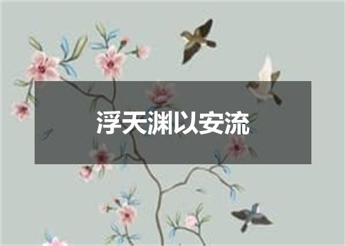 浮天渊以安流