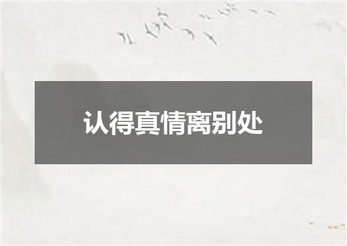 认得真情离别处
