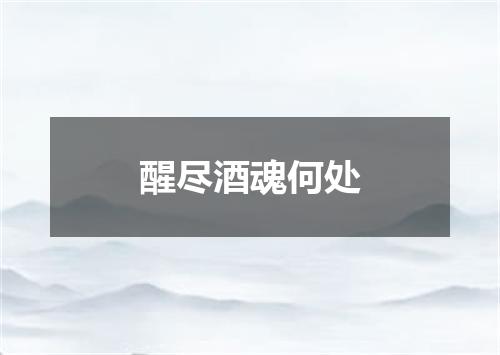 醒尽酒魂何处
