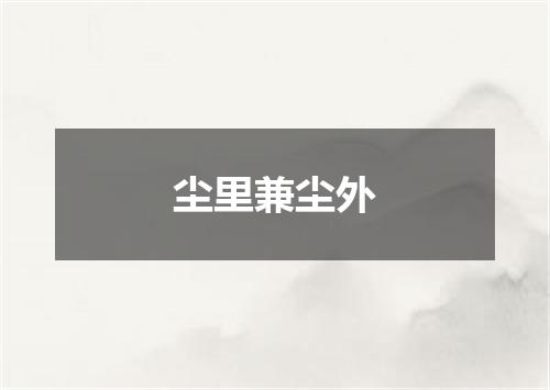 尘里兼尘外