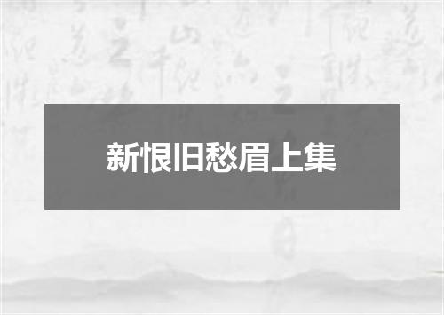 新恨旧愁眉上集
