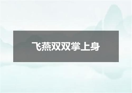 飞燕双双掌上身