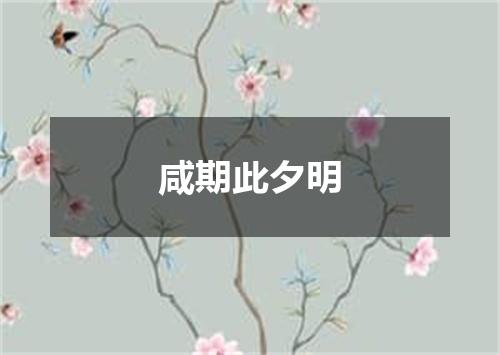 咸期此夕明