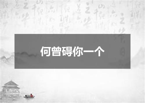 何曾碍你一个