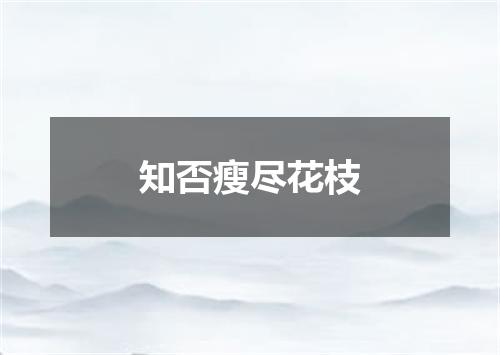 知否瘦尽花枝