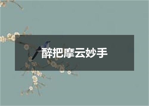 醉把摩云妙手