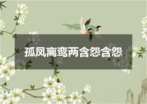 孤凤离鸾两含怨含怨