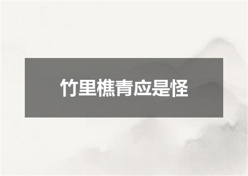 竹里樵青应是怪