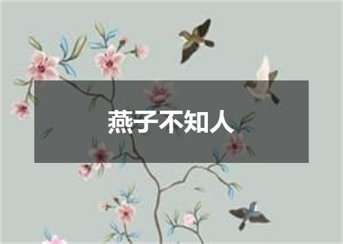 燕子不知人