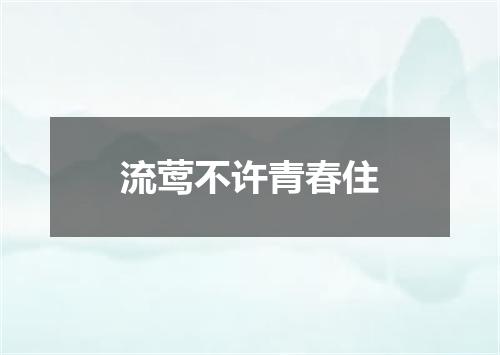 流莺不许青春住