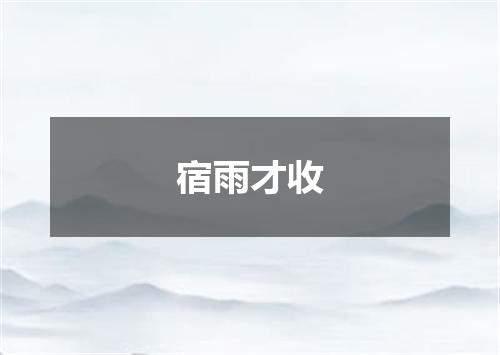 宿雨才收