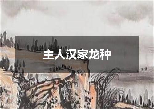 主人汉家龙种