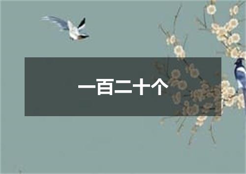 一百二十个