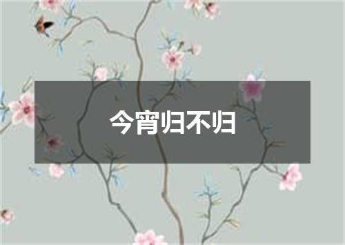 今宵归不归
