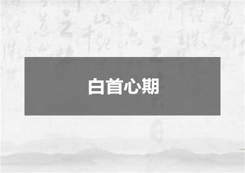 白首心期