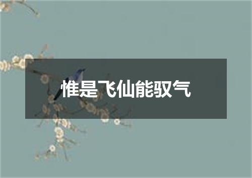 惟是飞仙能驭气