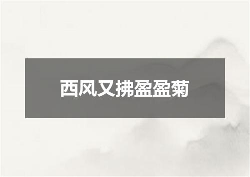 西风又拂盈盈菊