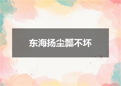 东海扬尘瓢不坏