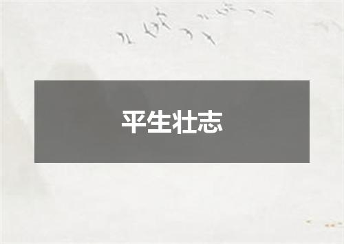 平生壮志