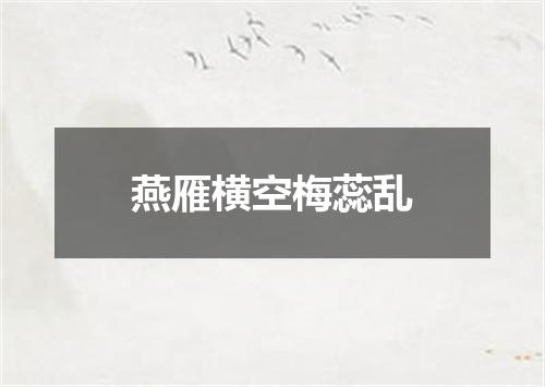 燕雁横空梅蕊乱