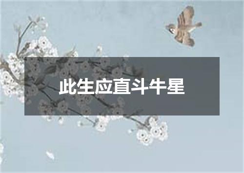 此生应直斗牛星
