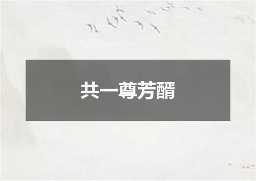 共一尊芳醑