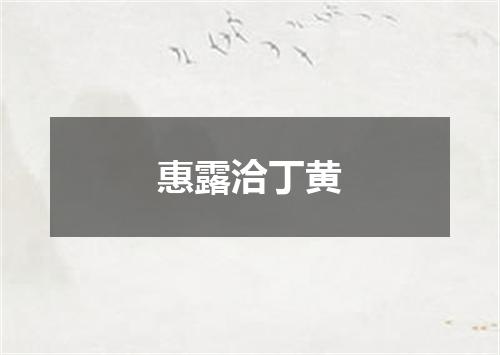 惠露洽丁黄