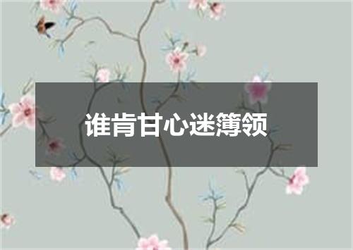 谁肯甘心迷簿领